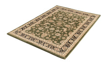 Load image into Gallery viewer, Ornate Green Traditional Bordered Ikat Rug
