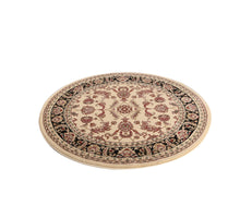 Load image into Gallery viewer, Ornate Cream and Black Traditional Bordered Ikat Rug

