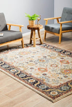 Load image into Gallery viewer, Legacy 860 Dune Rug
