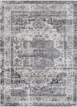 Load image into Gallery viewer, Saha Multan Ash Traditional Soft Rug
