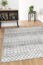 Load image into Gallery viewer, Andre Machine Washable Rug
