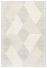 Load image into Gallery viewer, Alpine 833 Stone - Modern Rug
