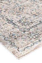 Load image into Gallery viewer, Ezra Grey Traditional Rug freeshipping - Rug Empire
