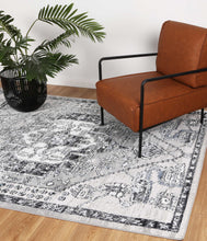 Load image into Gallery viewer, Cezanne Traditional Light Grey Rug freeshipping - Rug Empire

