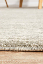 Load image into Gallery viewer, Evoke Shine Silver Transitional Rug

