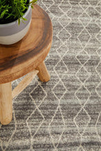Load image into Gallery viewer, Evoke Remy Silver Transitional Runner Rug
