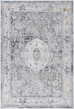 Load image into Gallery viewer, Esim Traditional Grey Rug freeshipping - Rug Empire
