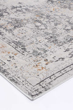 Load image into Gallery viewer, Esim Traditional Grey Rug freeshipping - Rug Empire
