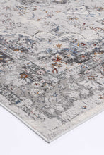 Load image into Gallery viewer, Esim Grey Multi Floral Traditional Rug freeshipping - Rug Empire
