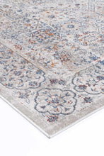 Load image into Gallery viewer, Isaiah Multi Transitional Rug freeshipping - Rug Empire
