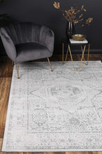 Load image into Gallery viewer, Isaiah Grey Traditional Rug freeshipping - Rug Empire
