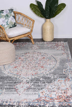 Load image into Gallery viewer, Sans Souci Medalion Transitional Grey Rug - Rug Empire
