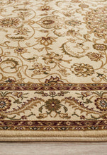 Load image into Gallery viewer, Sydney Collection Medallion Rug Ivory With Ivory Border
